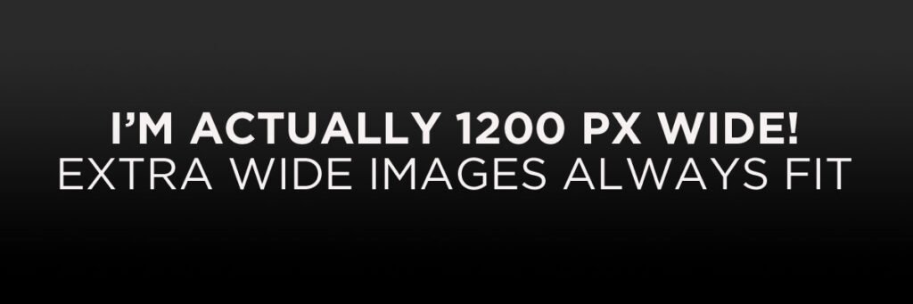 Content Placeholder 04 1 1024x341