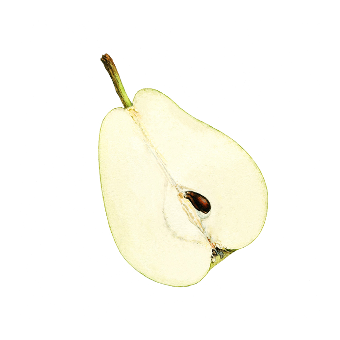 Contentpattern Pear Half 2
